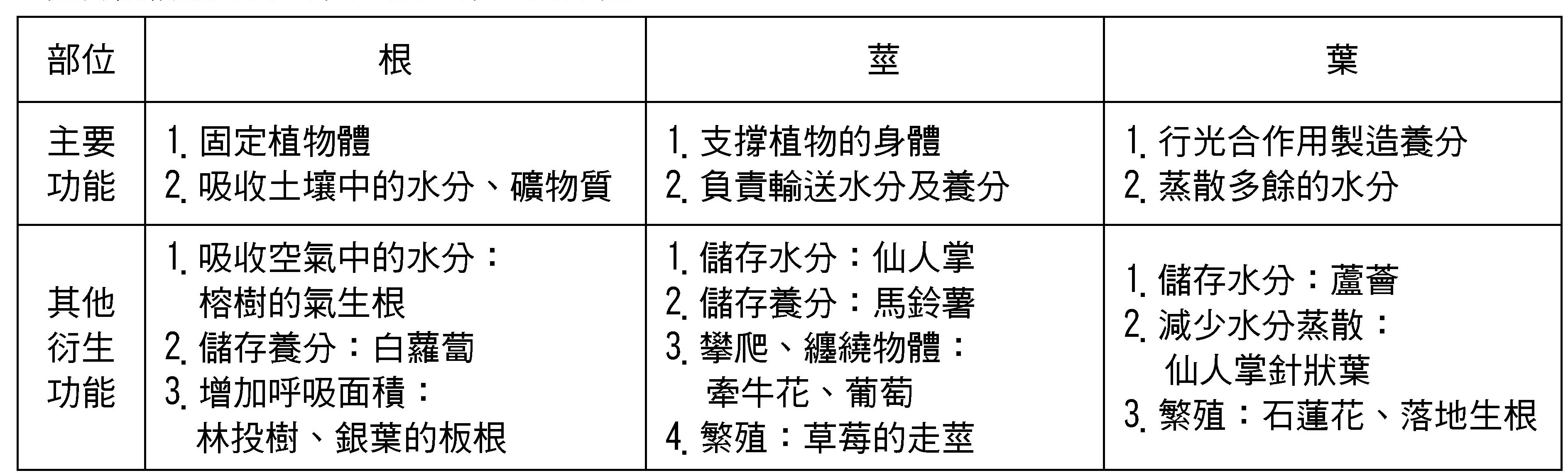 奇鼎事業股份有限公司 學習充電站 自然 一起來認識植物的構造吧